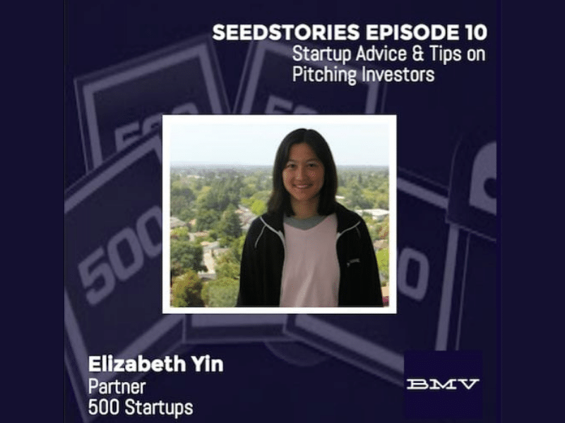 Elizabeth Yin on Pitching Investors